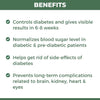 DME-6 : Ayurvedic Medicine to Control Diabetes & Blood Sugar Level (An Ayush82 Research Product by CCRAS)